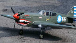 P-40 AVG 60 size EP-GP フライングタイガース 両用機